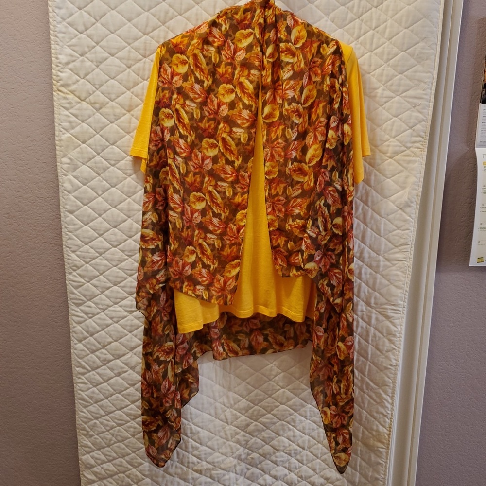 Winter Silks Tee w/sleeveless cardigan